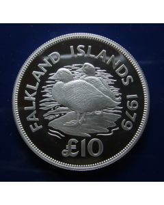 Falkland Islands	 10 Pounds	1979	  Flightless steamer ducks - Proof / Silver